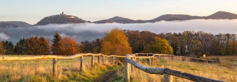 Feldweg mit Siebengebirge im Hintergrund