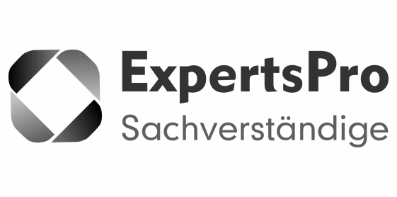 Logo Expertspro
